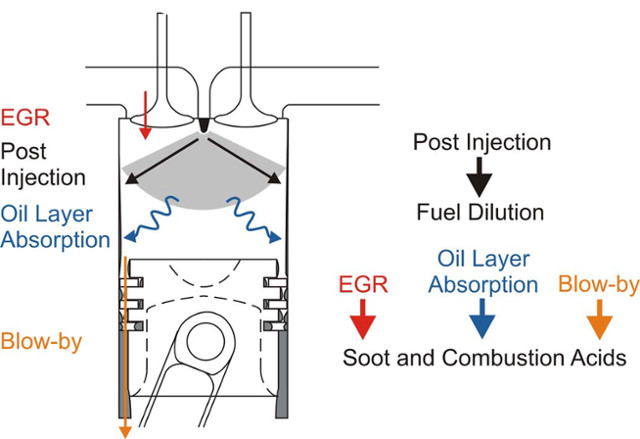 1546496124663973.jpg 001.jpg